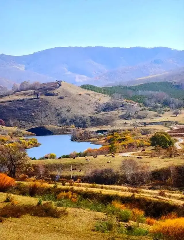 内蒙古的美景怎么画__内蒙古风景画简笔画