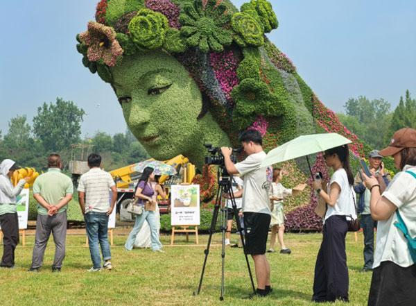 2025年北京菊花文化节将启，9月13日至10月19日精彩绽放