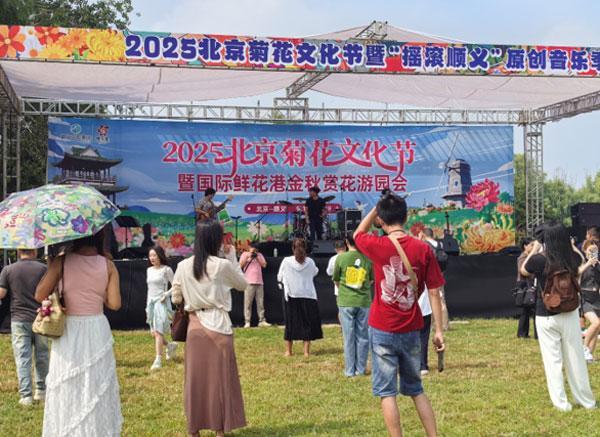 找一下鲜花菊花基地_鲜花港菊花展日期_